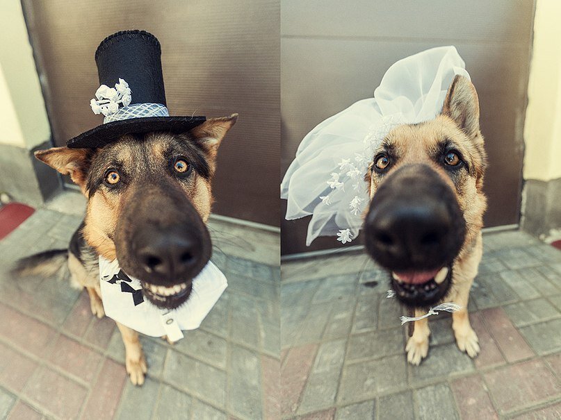 фото из сети