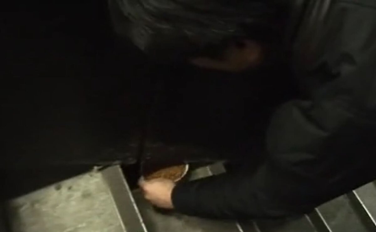 Мужик принес еду коту