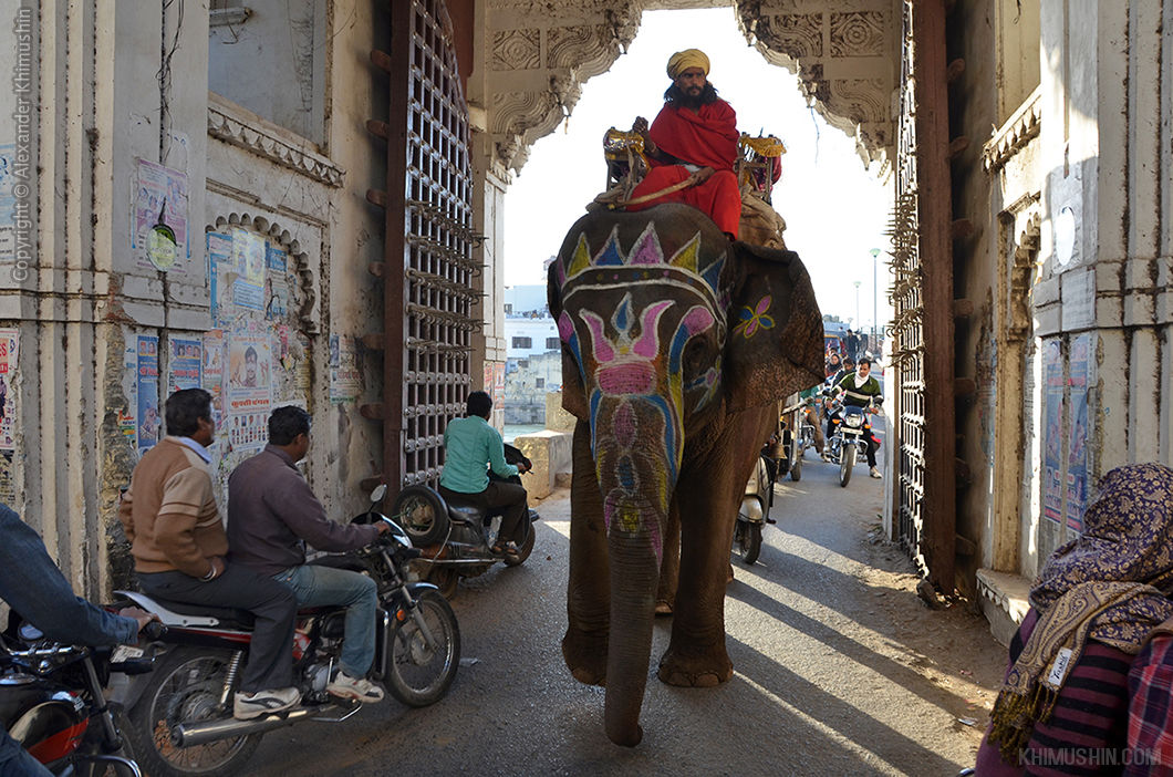 Street india. Улицы Дели Индия. Индия Дели улицы города. Индия Дели люди. Индусы на улицах индийских городов.