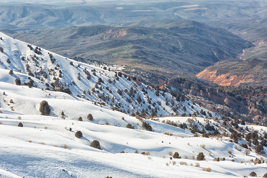 Большой чимган фото