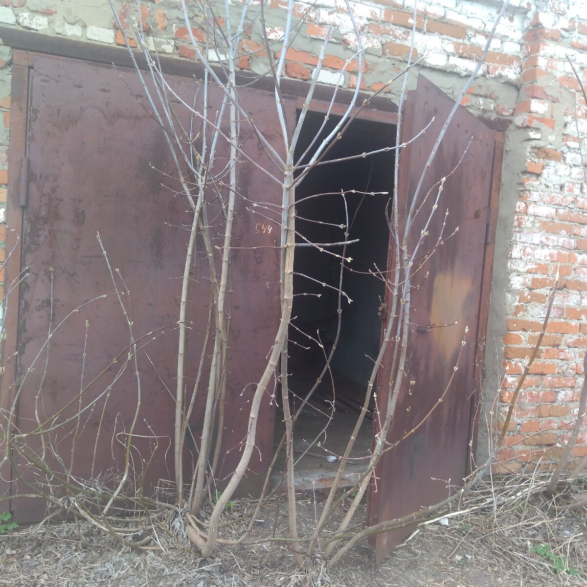 фото автора