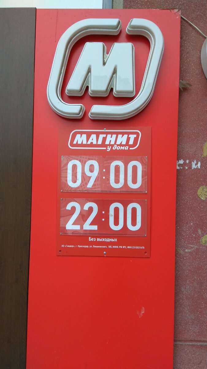 Фотография автора статьи