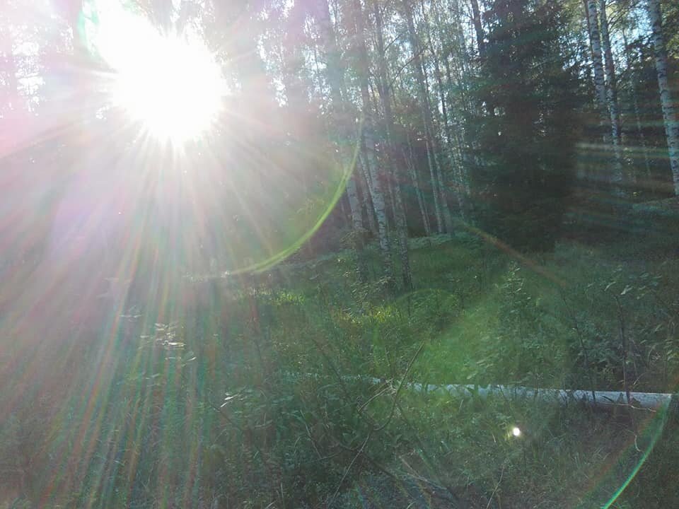 уже вовсю утро