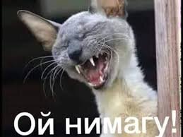 Не повезло пацану 