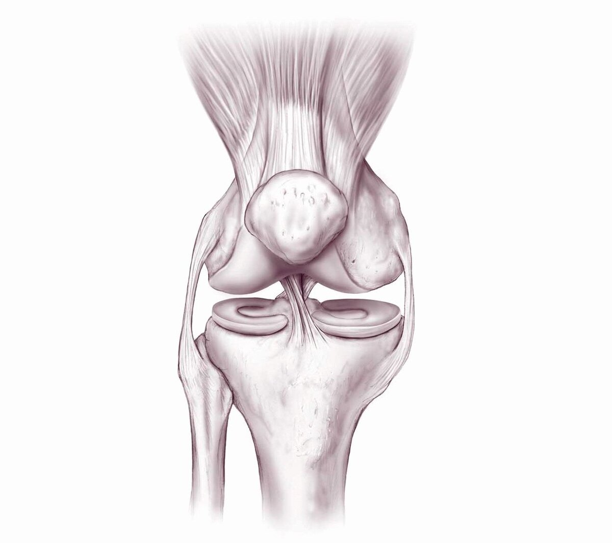 Как правильно приседать, чтобы не повредить коленный сустав. Приседания для лечения гипертонии.