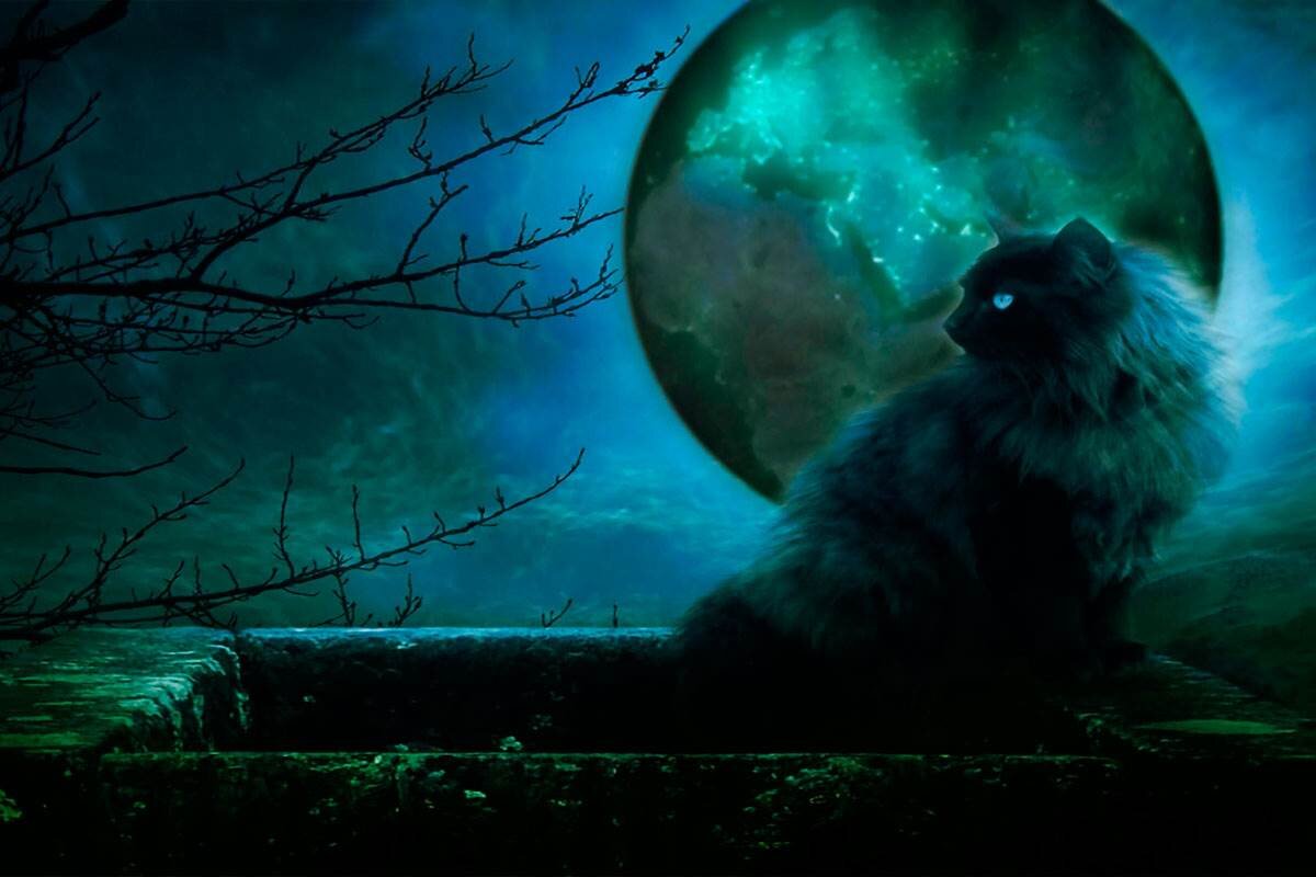 Взято с открытого доступа