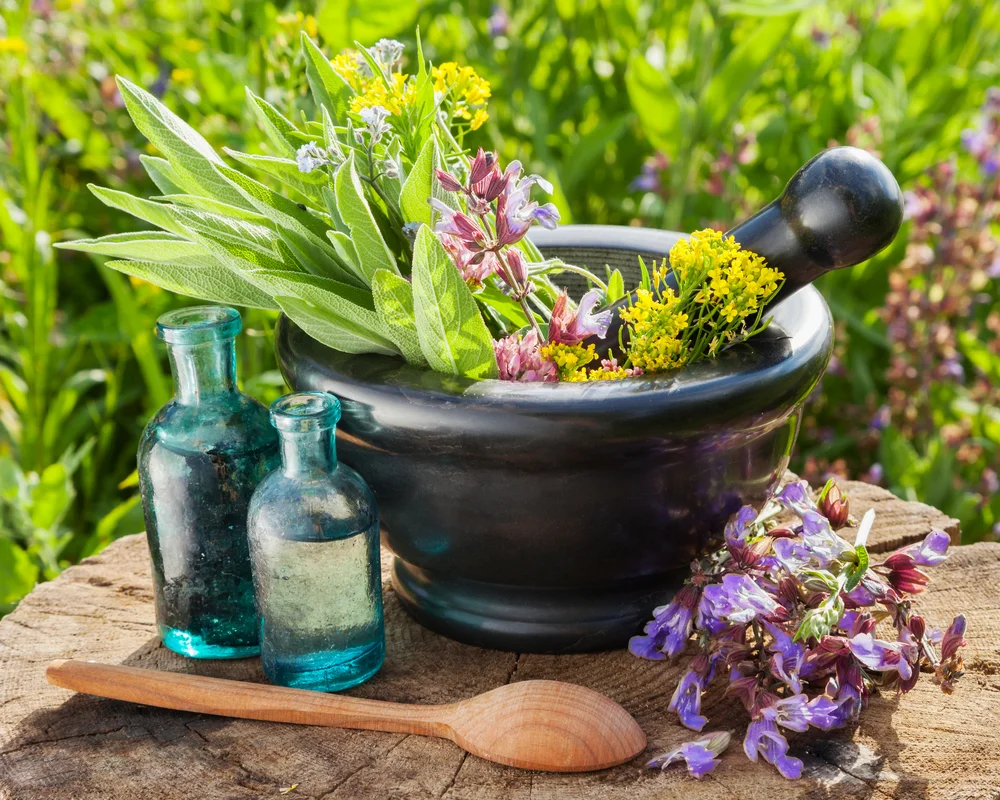 яндекс.картинки