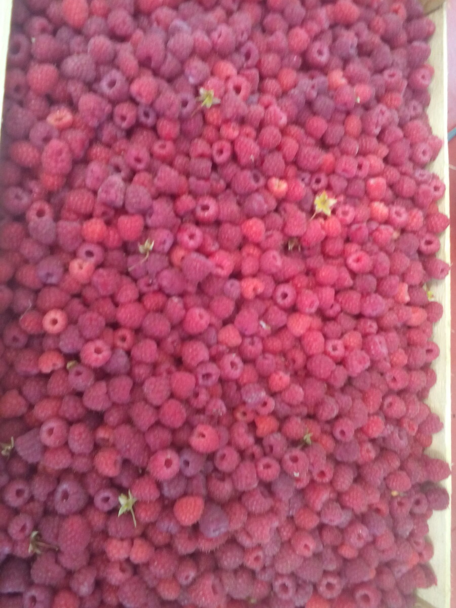 Личное фото