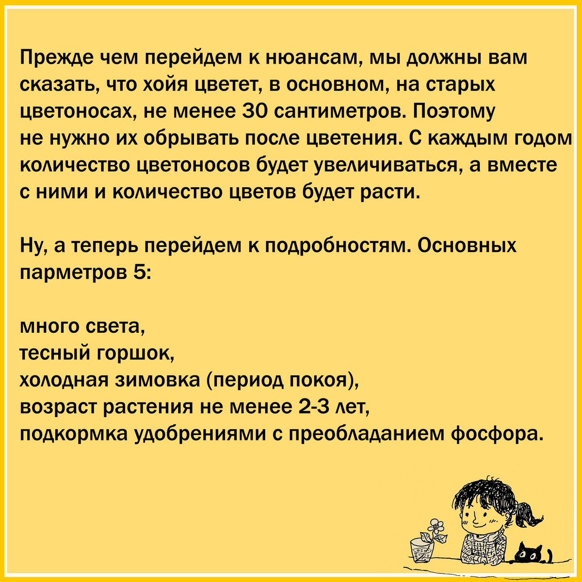 Что делать, чтобы хойя цвела