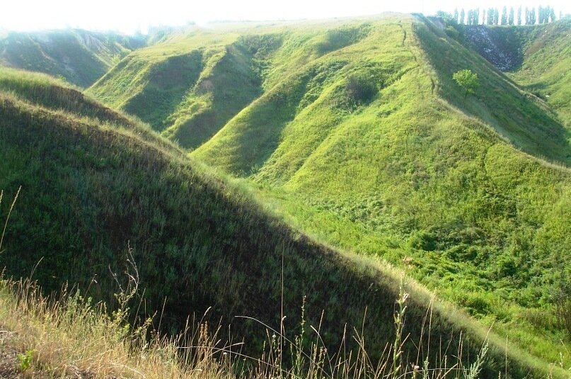 Овражно балочный рельеф фото