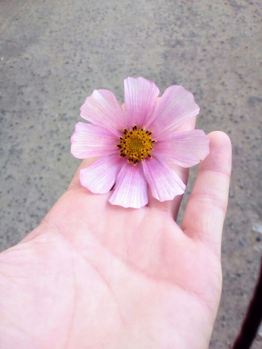 Личный архив