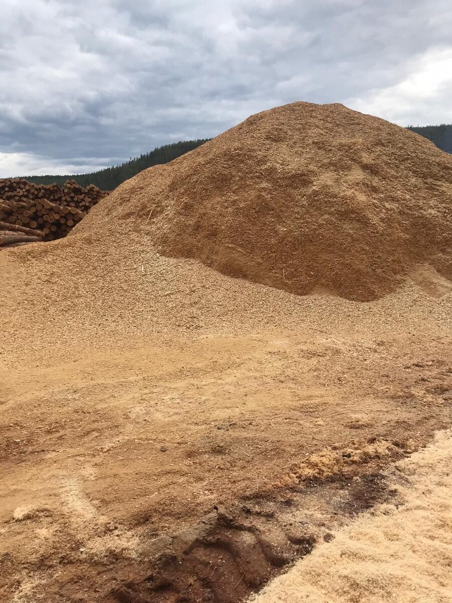Опилок у нас в поселке очень много. Можно брать машинами абсолютно бесплатно. Если заказывать сухие с доставкой, то камаз-самосвал стоит 1 000 рублей.