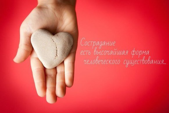 Сострадайте 