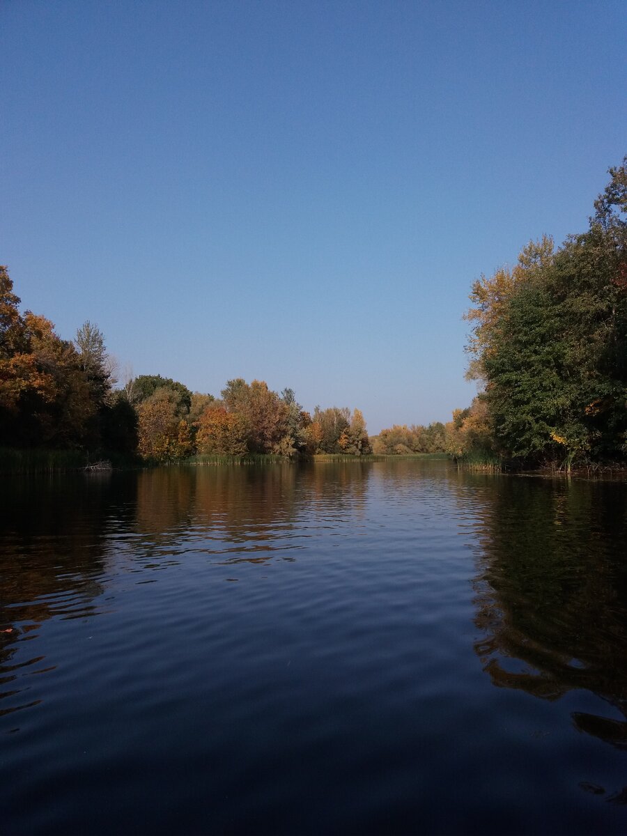 Золотая осень на Волге. Октябрь 2020. Фотографии из личного архива автора