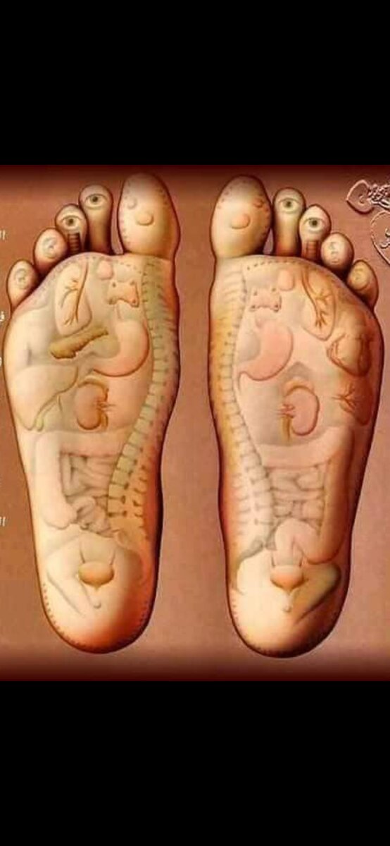 Научная неврология. Массаж ступней ног сделает ваш сон спокойным и оздоровит ваш организм. (На фото были надписи на арабском языке, пришлось убирать. Дзену не нравятся надписи на непонятном языке).