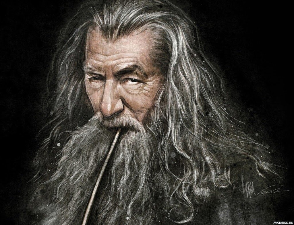 Гэндальф, воплощенный Иэном МакКелленом.