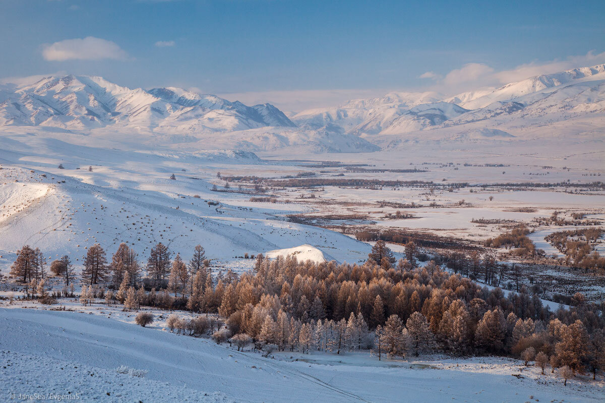 Алтай в январе