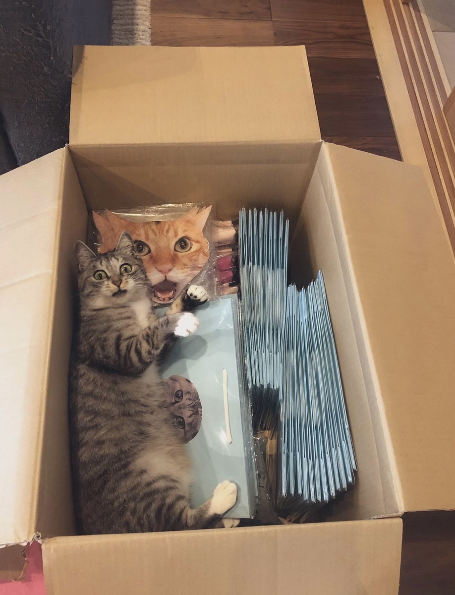 Фото с сервера Яндекс.Картинки
