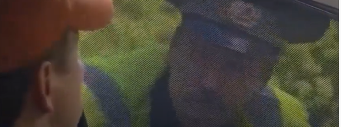 Изображение взято из открытых источников