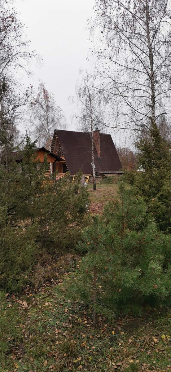 Дом в окружении сосен