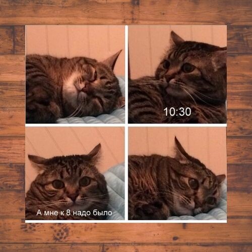 и так бывало... когда ещё диаконом служил