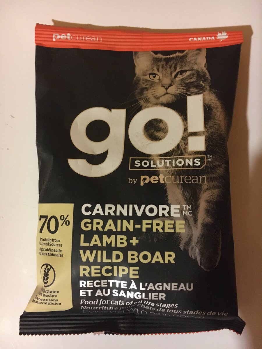 Что будет, если собака съест кошачий корм? | АVostok. Корги-дзен. | Дзен