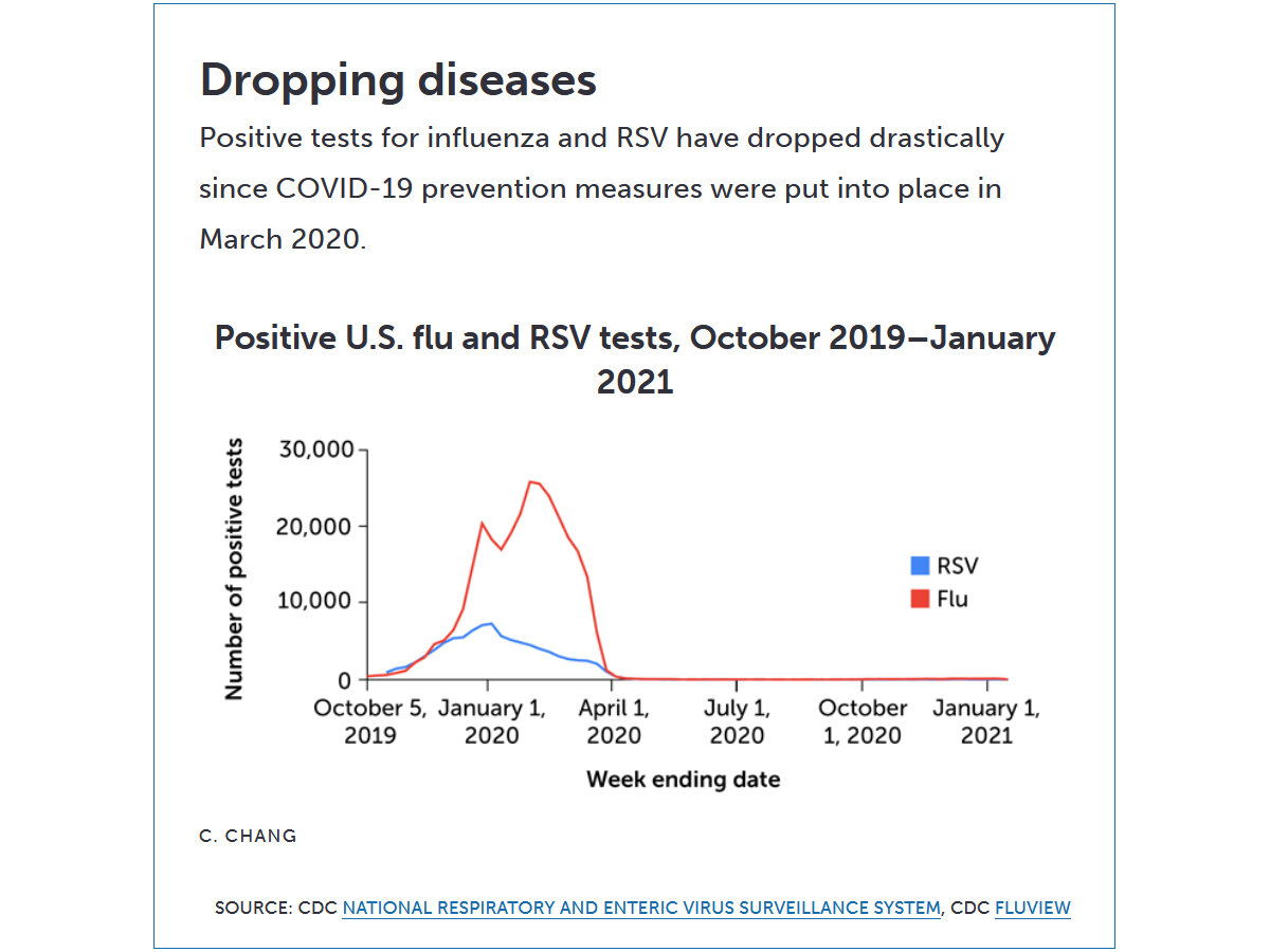 Количество выявленных случаев гриппа и респираторно-синцитиального вируса человека при сравнимых объемах тестирования радикально снизилось одновременно с введением локдауна в марте прошлого года / ©CDC National Respiratory and Enteric Virus Surveillance System, CDC FluView, ScienceNews