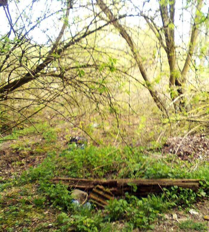 Так может выглядеть депрессия фото автора!