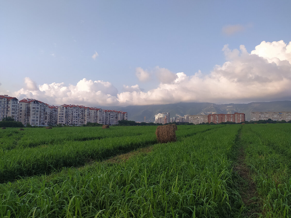 Геленджик - красивый южный город-курорт.