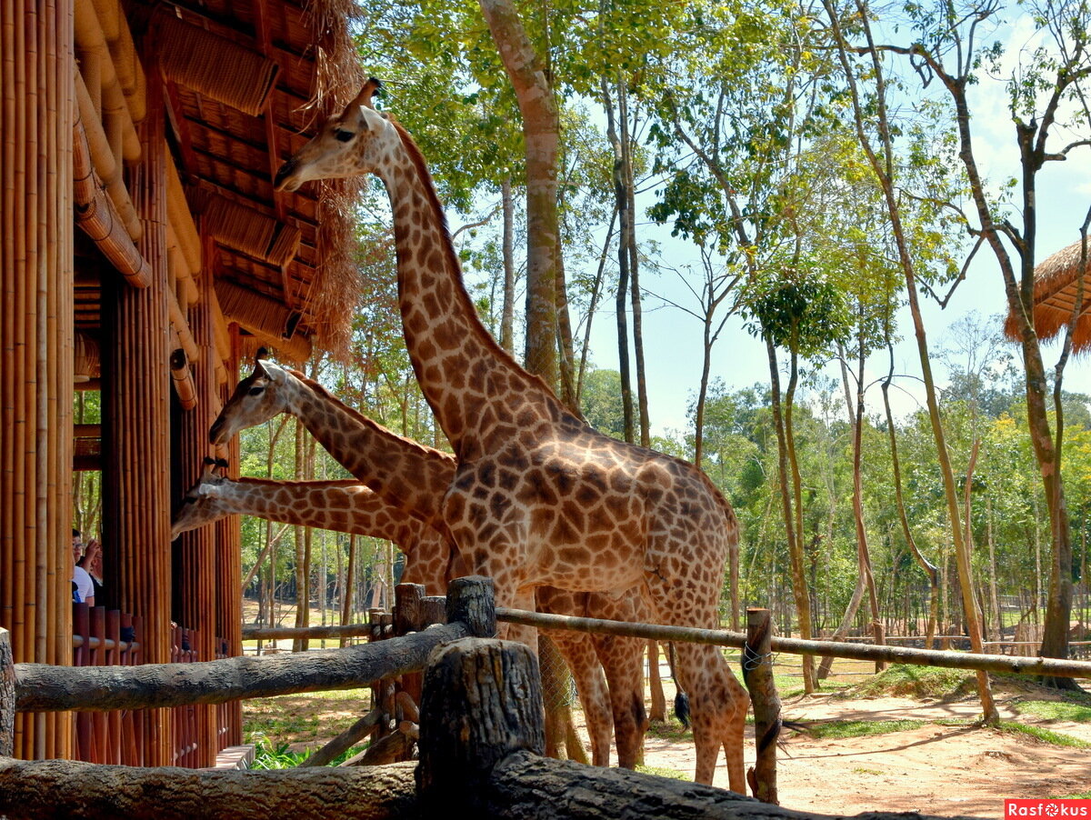 Фото не мое, если что, я не бывала на Фукуоке