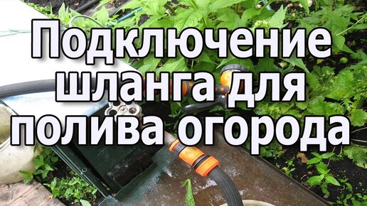 Водоснабжение частного дома из скважины своими руками: схема и устройство (видео)