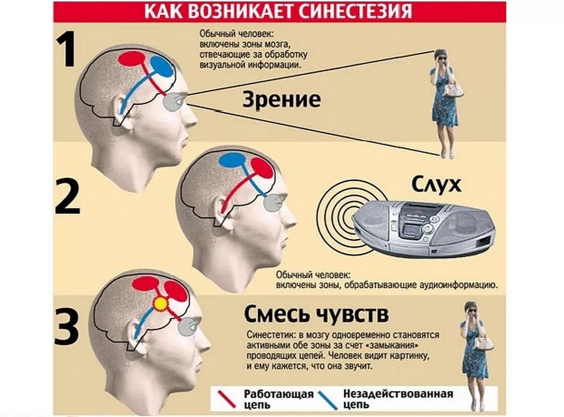 Графемно-цветовая синестезия