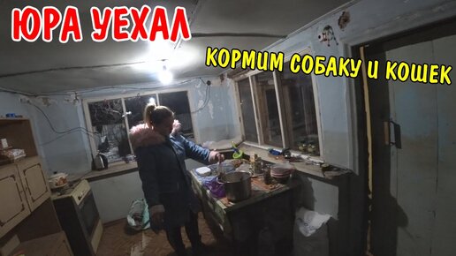 ЮРА УЕХАЛ / КОРМИМ СОБАК И КОШЕК / ЗАТОПИЛ ПЕЧКУ / ЖИЗНЬ В ДЕРЕВНЕ / ВЛОГ