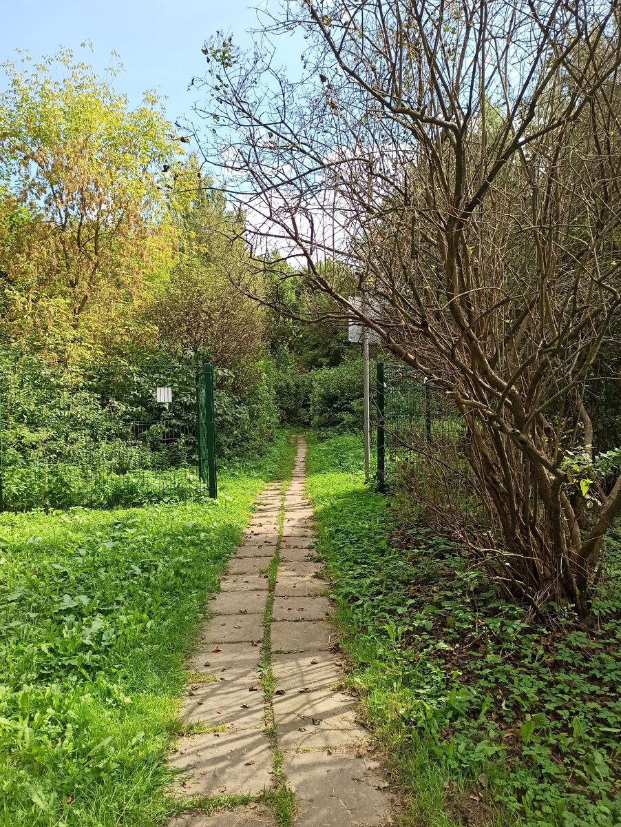 Это уже выход с площадки