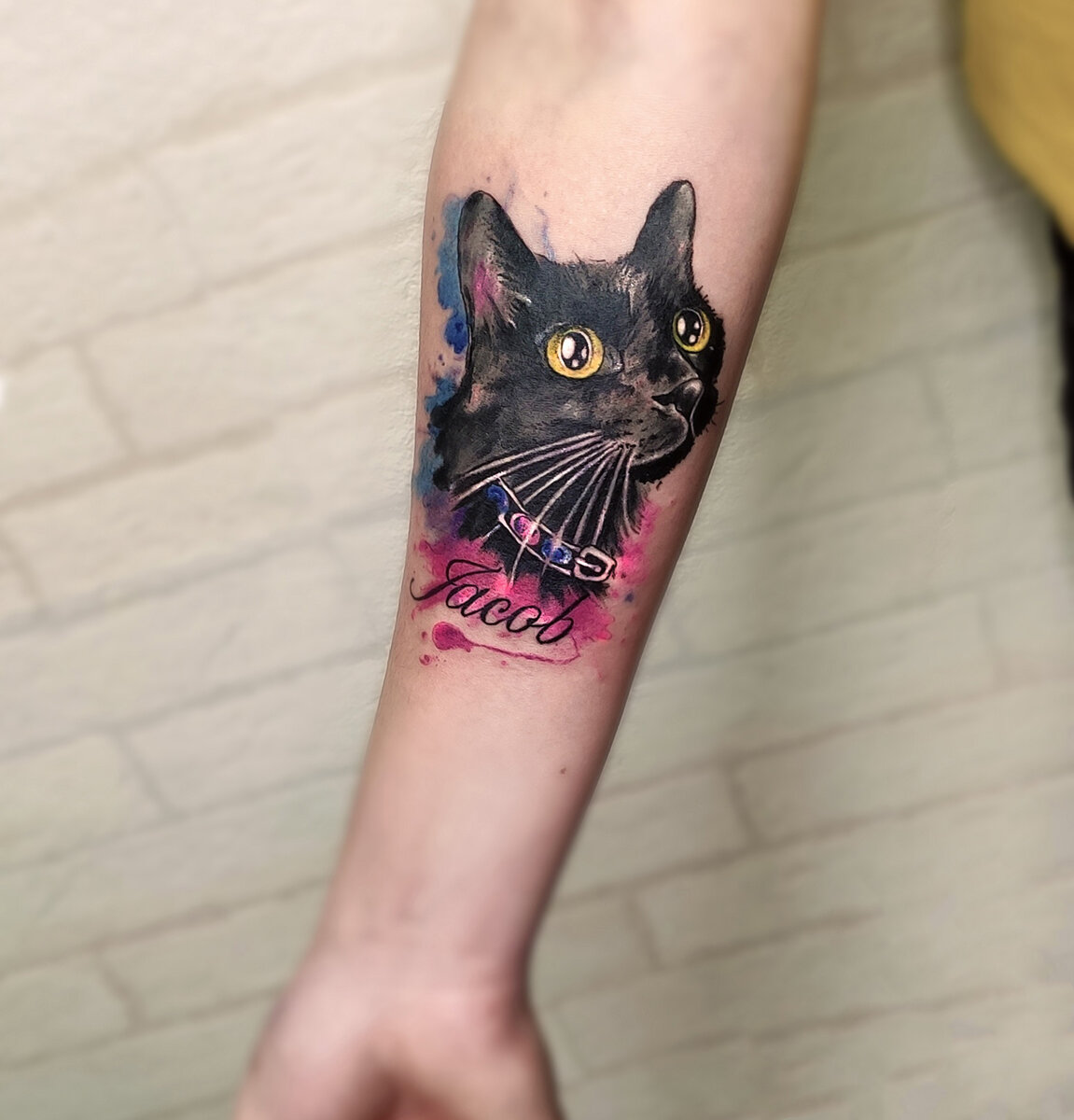 Любимый кот клиентки. Мастер Алла Кононович
