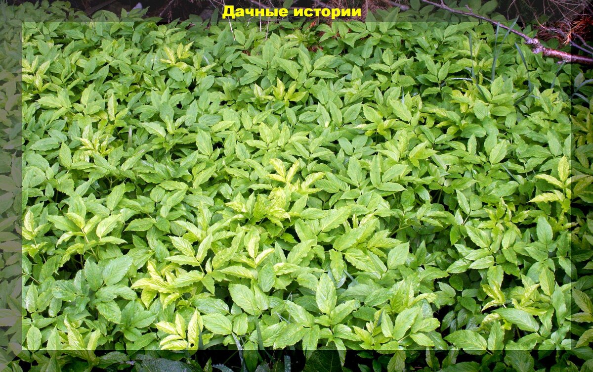 https://vk.com/photo-159774511_457249266