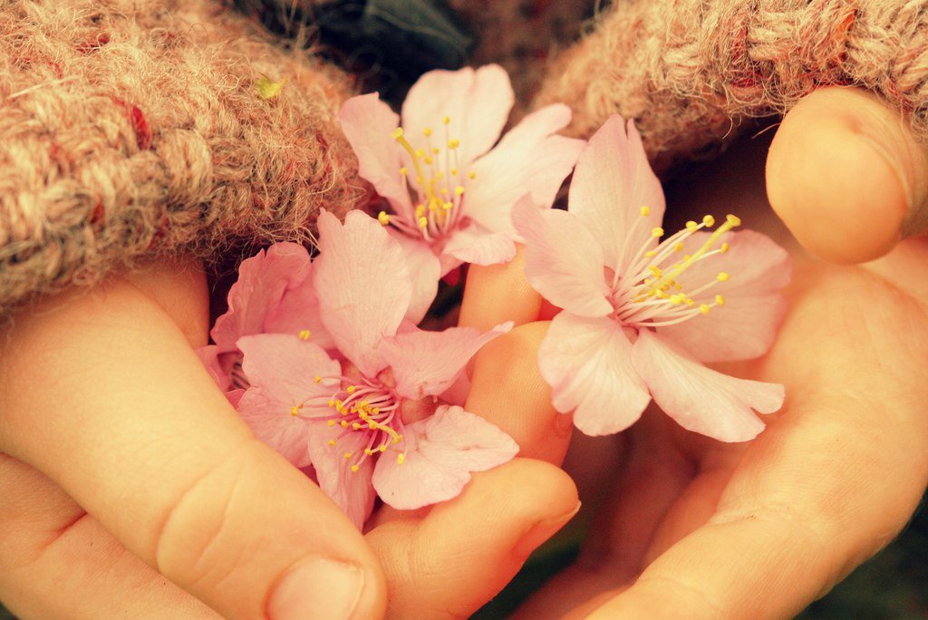 🌿🌸Отношения - это та тема, которая интересует меня так или иначе на протяжении всей моей жизни. Практики исцеления, распутывания сложных ситуаций и отношений присутствует всегда в моей жизни.
Но именно сейчас, вместе с исцелением самооценки и принятием себя, что происходит исключительно постепенно, и занимает определенное количество времени, в мою жизнь приходить БЕРЕЖНОСТЬ.🌿💖
Даже это слово приятно повторять и звучит оно очень мягко.
Я подумала, что если внести это ощущение в каждые отношения, что если расширять постепенно это ощущения и на сложные и отношения со знакомыми и не знакомыми людьми.
Сейчас это одна из целей моей жизни - вносить бережность, не ломать, не говорить бездумно что-то, а осознавать, а главное настроиться на эту волну. Бережно относиться к пространству другого человека, его занятиям, работе, роли в этой жизни, его проявлениям, его поступкам. Ведь любой поступок - это часть его жизни, это его опыт, это то, на чем он учиться, также как и я.
В общем, очередной КВЕСТ, который принесет новые осознания.
А вы бережны к себе? к отношениям? людям? Задумывались ли о таком?☀🌿

#отношения#исцеление#бережность#рост#творчество#предназначение#радость#любовь#осознанность
