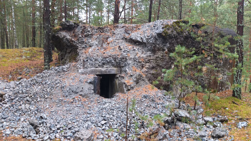 Нашли обстрелянный ДОТ в лесу - Заходим внутрь