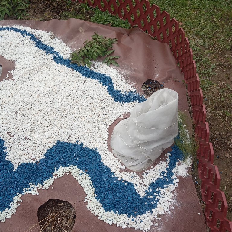 Надежно укрытая роза