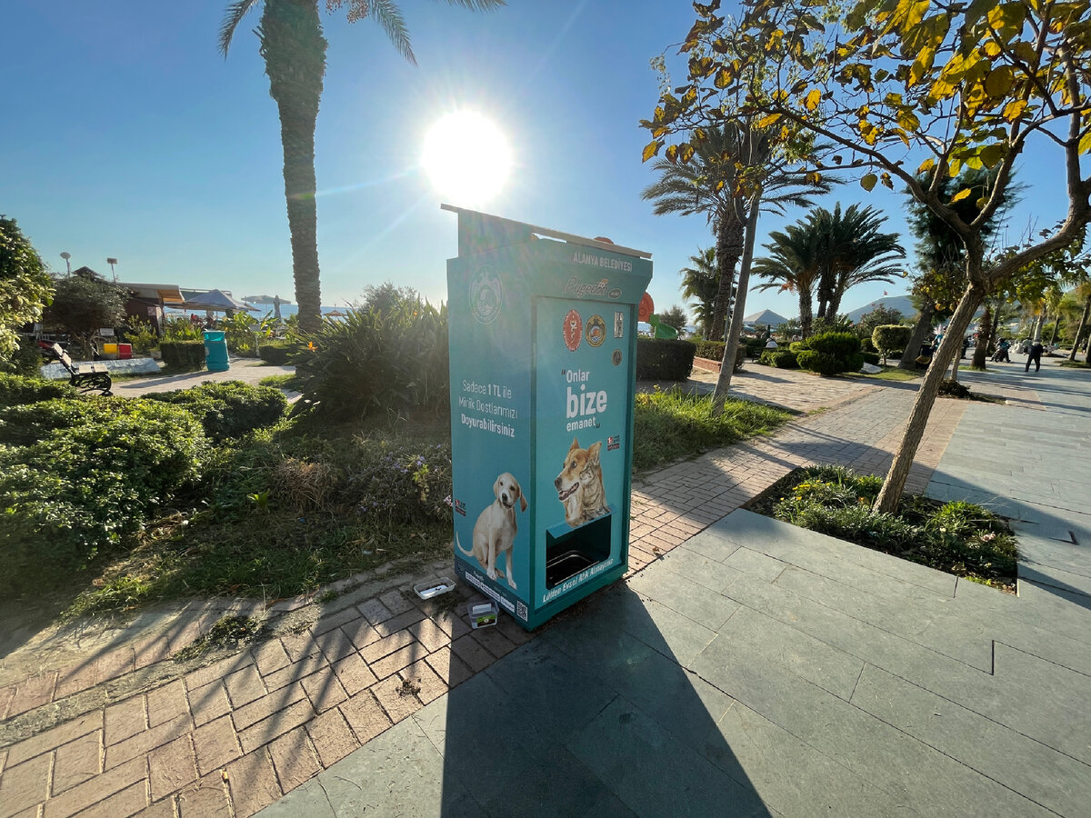 Такие автоматы с кормом и водой для животных встречаются на пешеходных улицах.