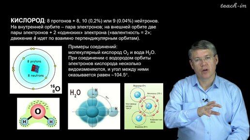 Descargar video: Дубынин В.А. - 100 часов школьной биологии - 2.1. Вода и минеральные соли. Органические соединения