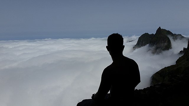 Mário Gomes da Silva Junior любезно предоставил работу под лицензию Creative Commons