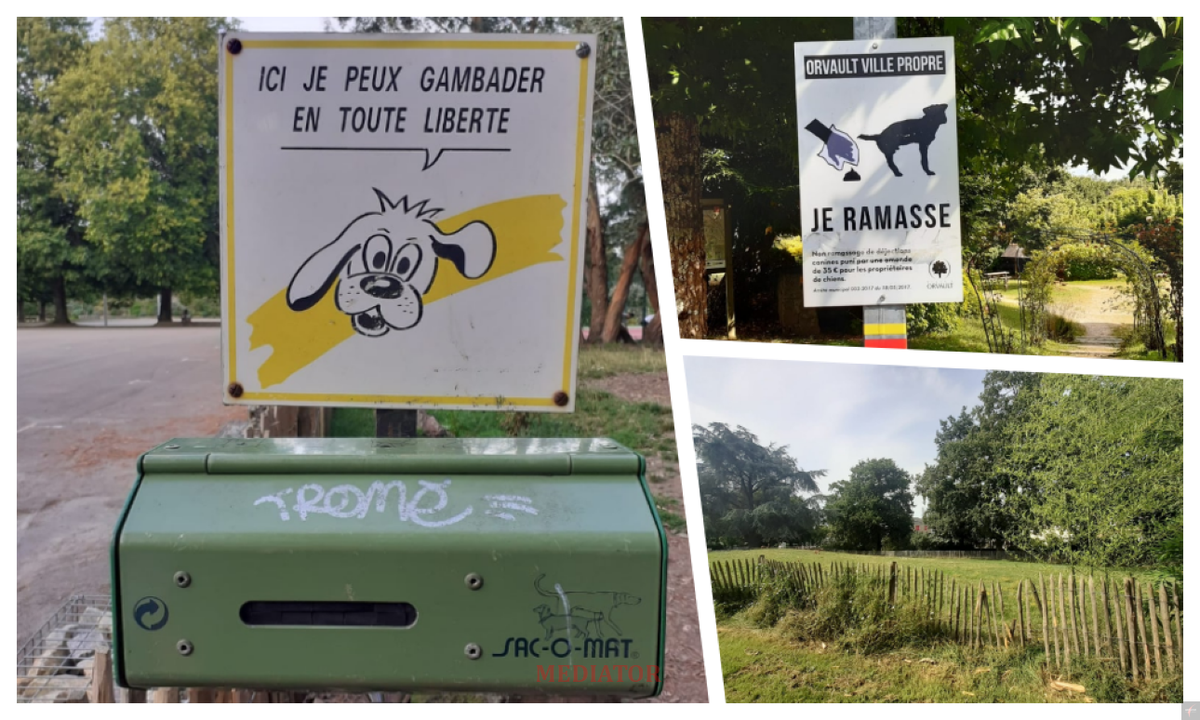 Фото авторское: Нант — "Parc du Grand Blottereau" и Orvault — "Square Jacques Lambert"