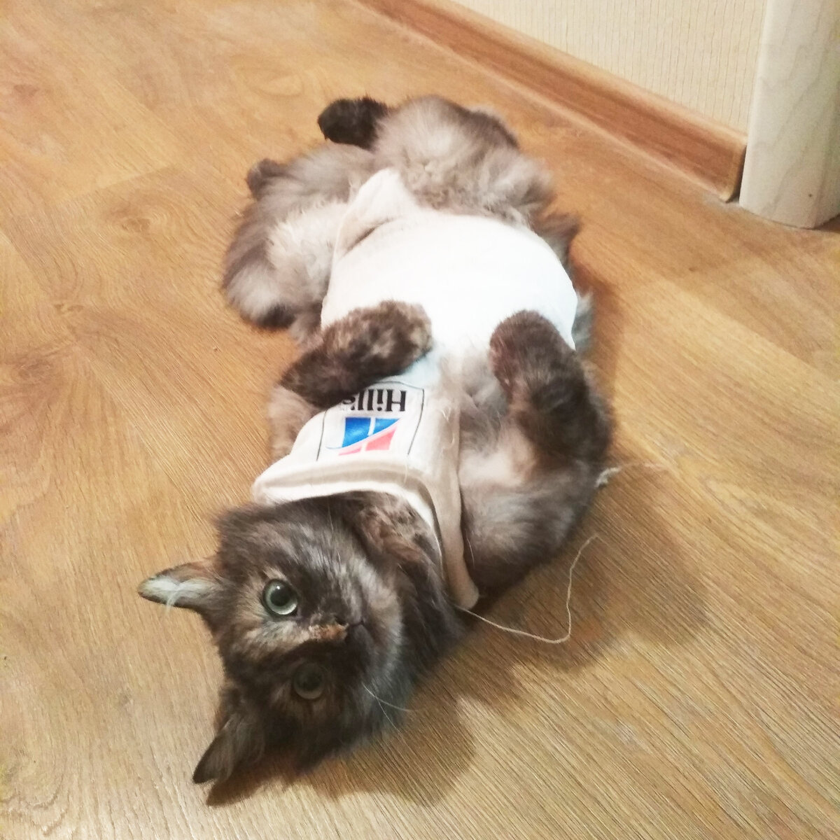 - Я ведь красотка, правда?!