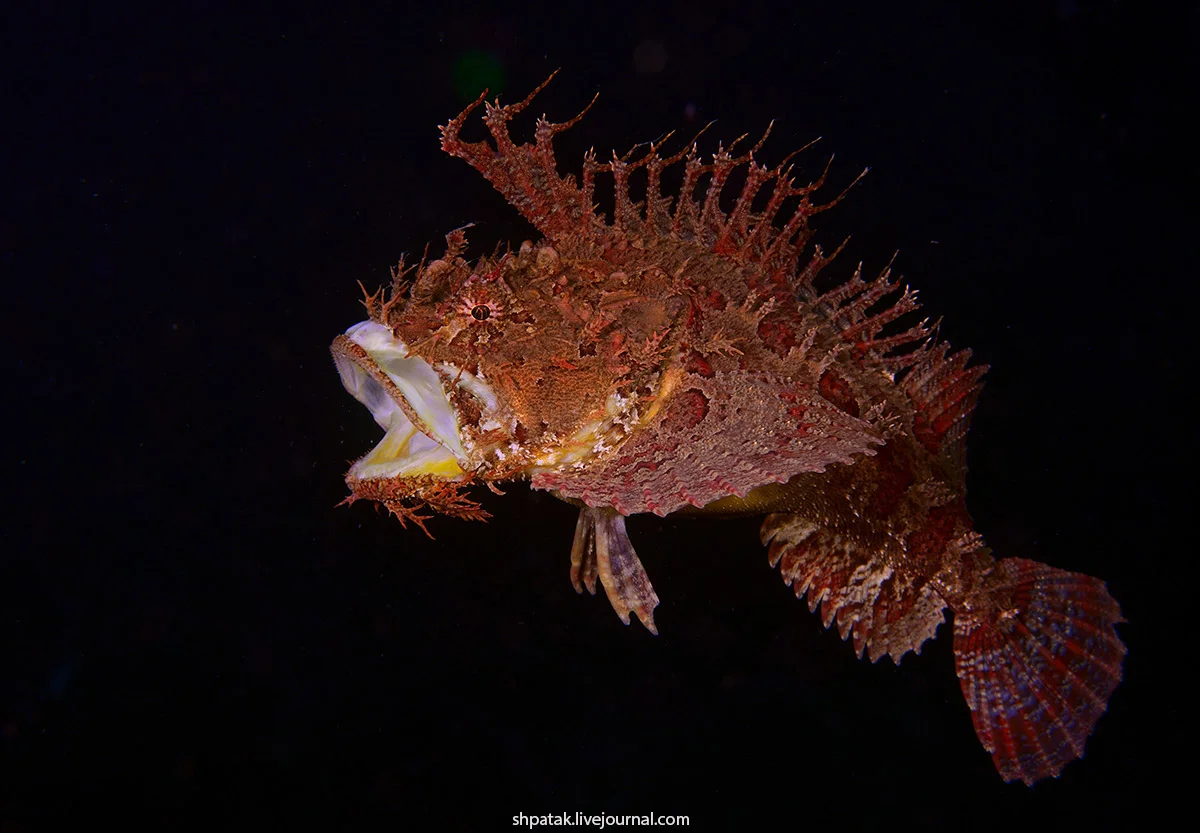 Помни, человек, если я сделаю ам, то ты сделаешь АААААААЙ.