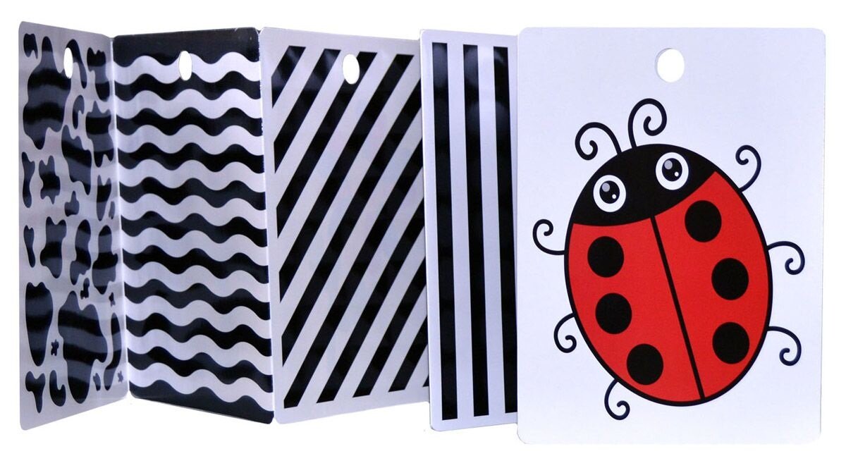 Источник Яндекс.Картинки 