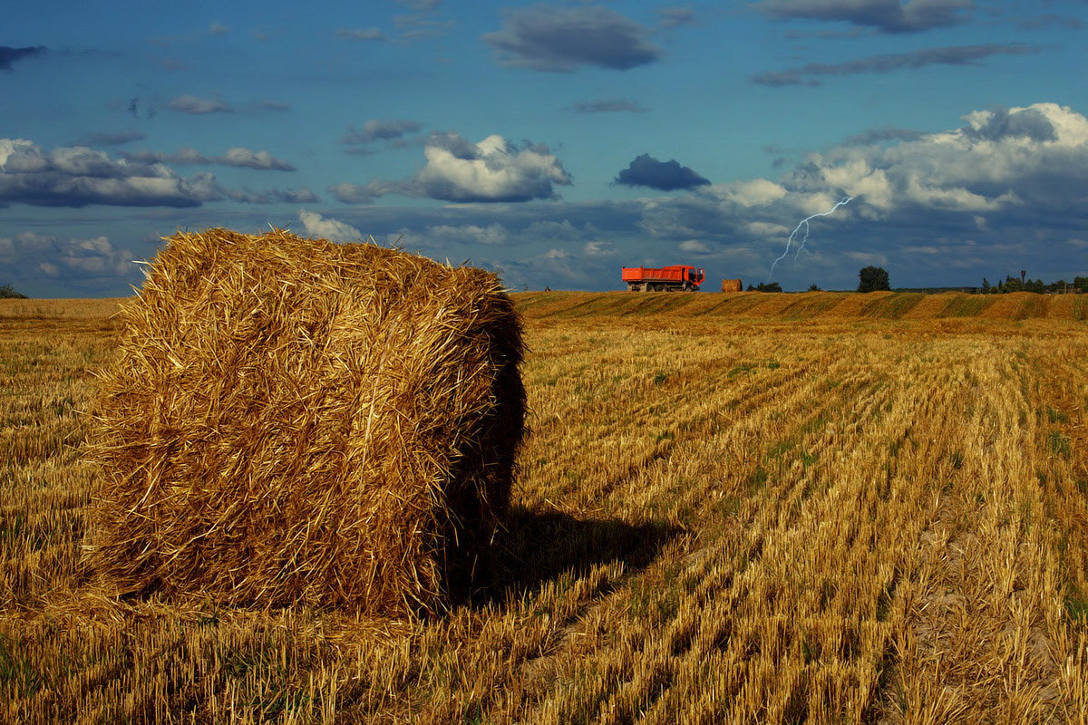 Картинка из интернета 