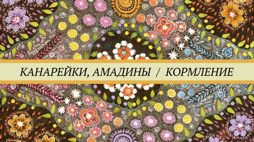 下载视频: Чем кормить канареек и амадин. Зерновые смеси, зелень, фрукты, овощи, животные корма, минералы.