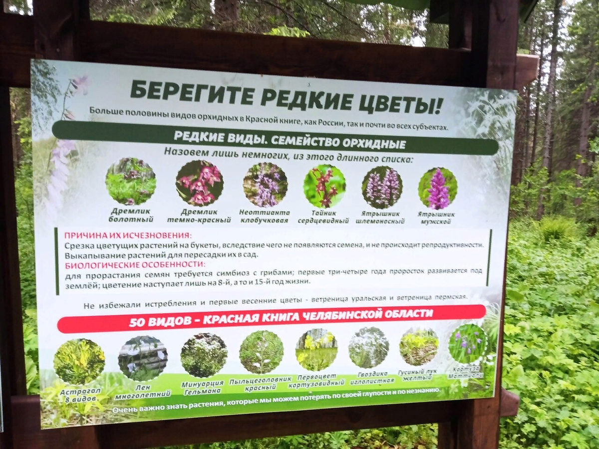 яркие информативные стенды