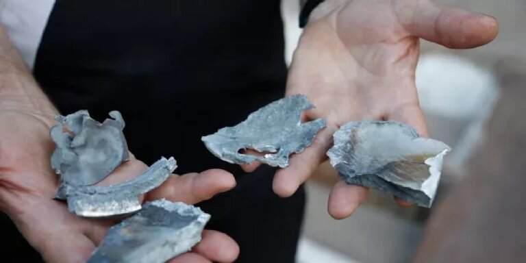 Фото: РИА «Новости» / Сергей Аверин